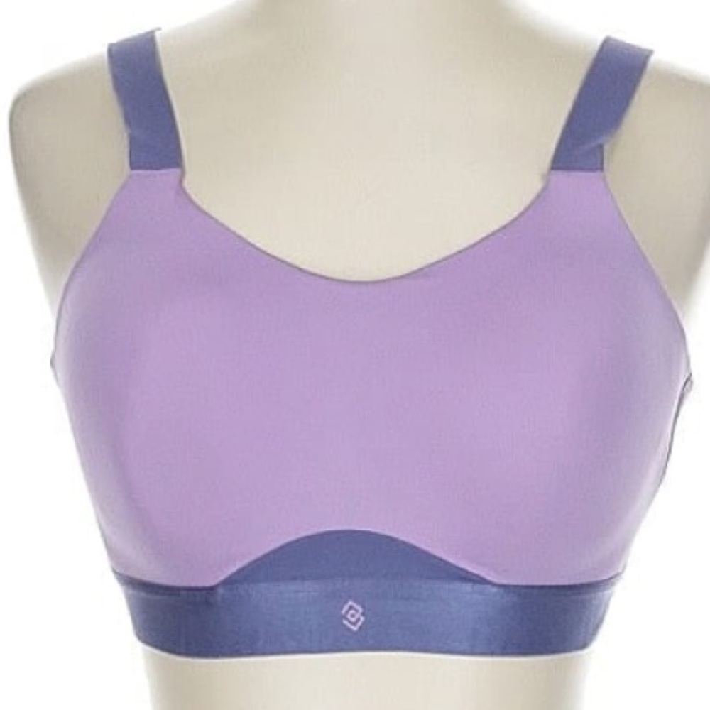 ThirdLove Lavender and Blue Bra